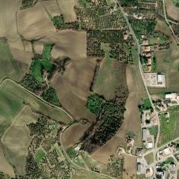 San Martino in Pensilis map(satellite map)