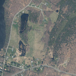 Shandelee New York High Resolution Satellite Map