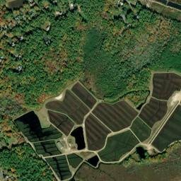 Carver map(satellite map)