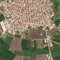 Lesina map(satellite map)