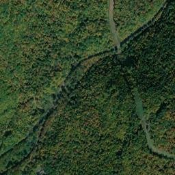 Basket New York High Resolution Satellite Map