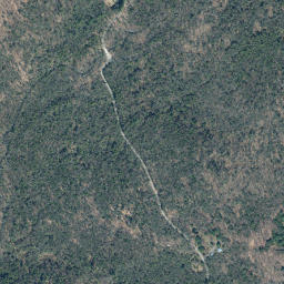 Yagerville New York High Resolution Satellite Map