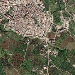 Carpino map(satellite map)