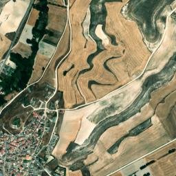 Torresandino map(satellite map)