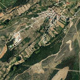 Lituénigo map(satellite map)