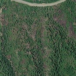 Darlingtonia California High Resolution Satellite Map