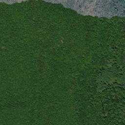 Potterville New York High Resolution Satellite Map