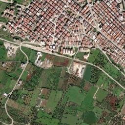 Cagnano Varano map(satellite map)