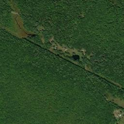 Sholam New York High Resolution Satellite Map