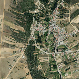 Ríofrío de Aliste map(satellite map)