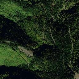 Obshtina Chepelare map(satellite map)