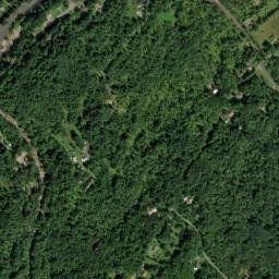 Alligerville New York High Resolution Satellite Map