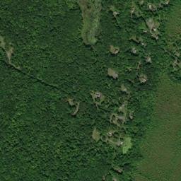 Plutarch New York High Resolution Satellite Map