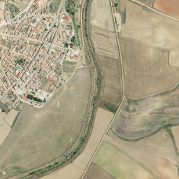 Cañizo map(satellite map)