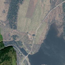 Briscoe New York High Resolution Satellite Map