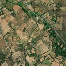 Bragança Municipality map(satellite map)