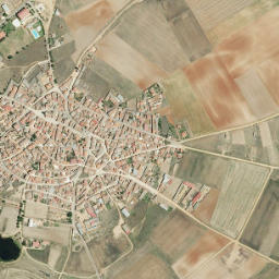 Manganeses de la Lampreana map(satellite map)