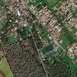 Castel Fusano map(satellite map)