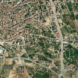 Alguaire map(satellite map)