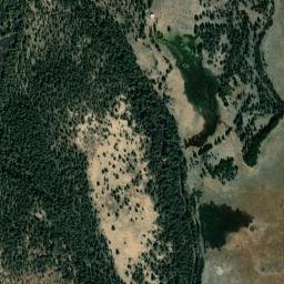 Fletcher Place California High Resolution Satellite Map