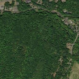 Lloyd New York High Resolution Satellite Map