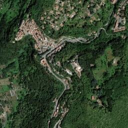 Nemi map(satellite map)