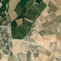 Bárboles map(satellite map)