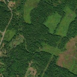 Jenkinstown New York High Resolution Satellite Map