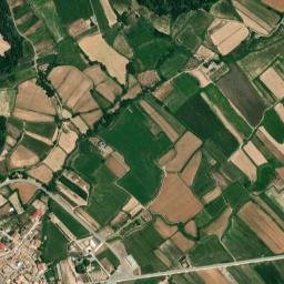 Plasencia de Jalón map(satellite map)