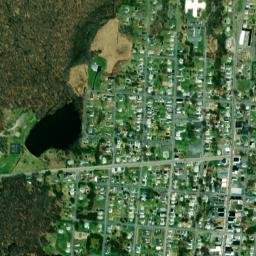 Forest City map(satellite map)