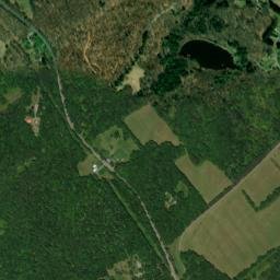 Wayne County map(satellite map)