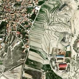 Monegrillo map(satellite map)