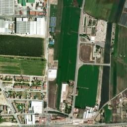 Mollerussa map(satellite map)