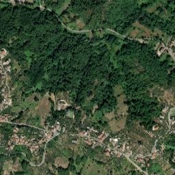 Torrice map(satellite map)