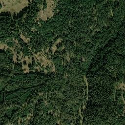 Obshtina Dospat map(satellite map)