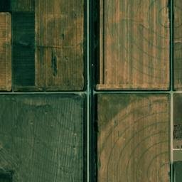 U.S. 81, Humphrey, NE 68642, USA High Resolution Satellite Map