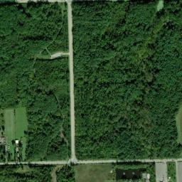 Satellite view of Bachelor’s Grove Cemetery
