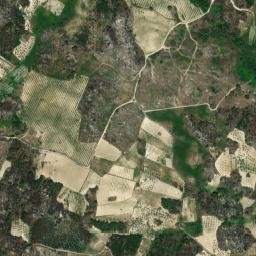 Valpaços map(satellite map)