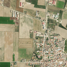 Torres del Carrizal map(satellite map)