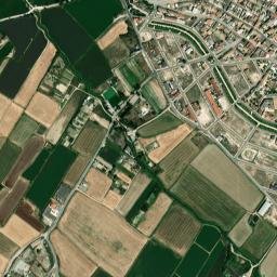 Alfajarín map(satellite map)