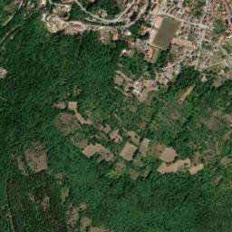 Carpinone map(satellite map)