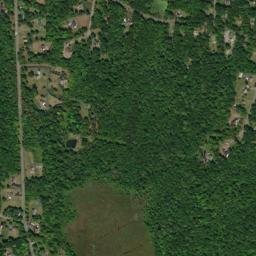 Savilton New York High Resolution Satellite Map