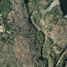 Satellite view of Forest Glen Club (abandoned)