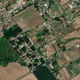 Lido dei Pini map(satellite map)