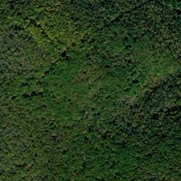 Forest County map(satellite map)