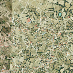 Torregamones map(satellite map)