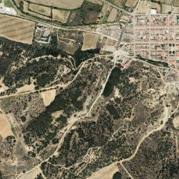 Peleagonzalo map(satellite map)