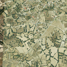 Gamones map(satellite map)