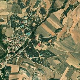 Torlengua map(satellite map)