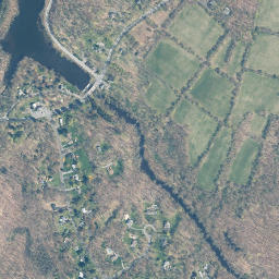 Burnside New York High Resolution Satellite Map